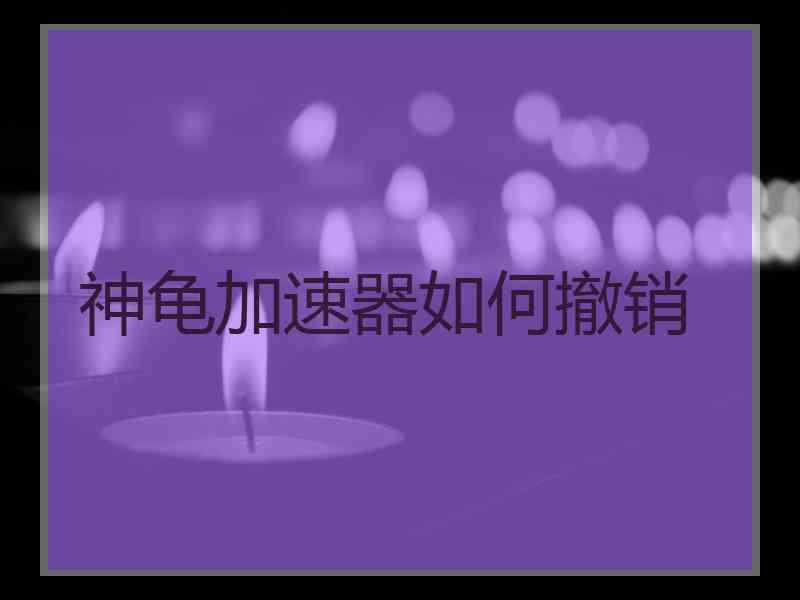 神龟加速器如何撤销