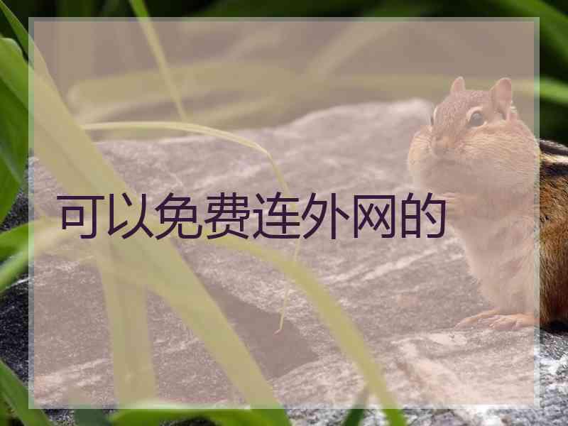 可以免费连外网的