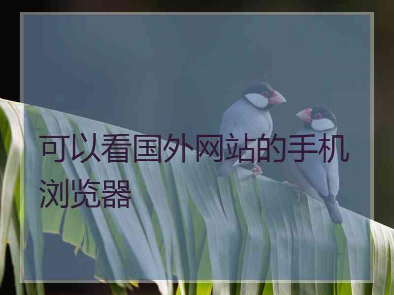 可以看国外网站的手机浏览器