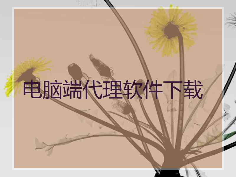 电脑端代理软件下载