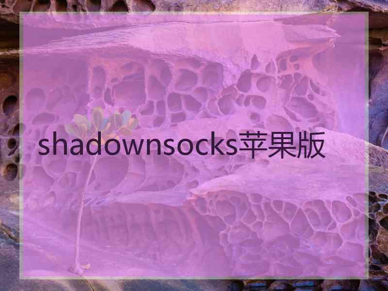 shadownsocks苹果版