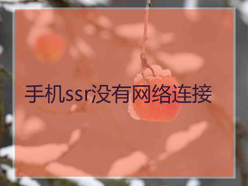 手机ssr没有网络连接