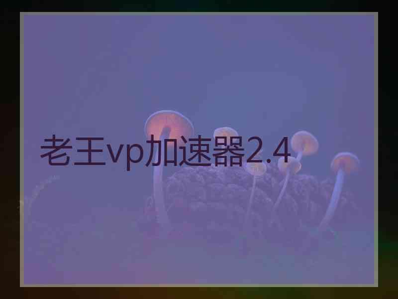 老王vp加速器2.4