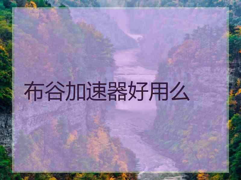 布谷加速器好用么
