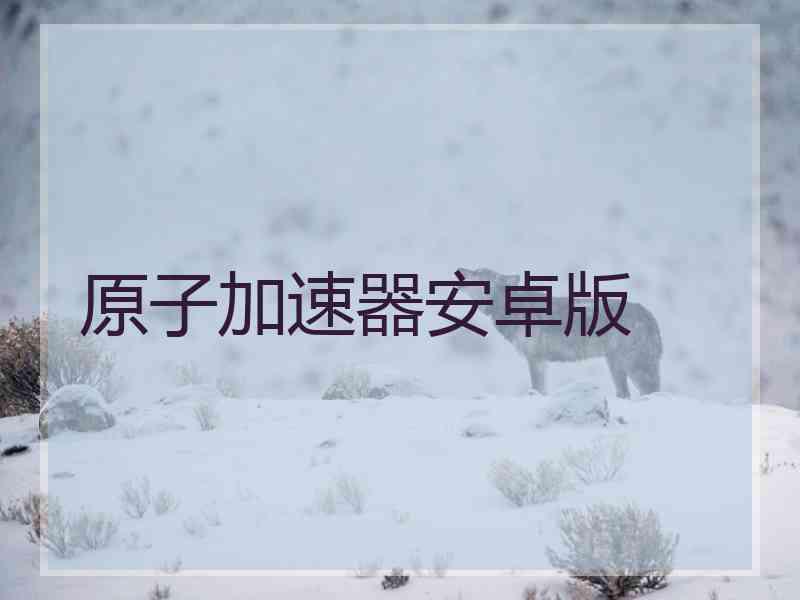 原子加速器安卓版