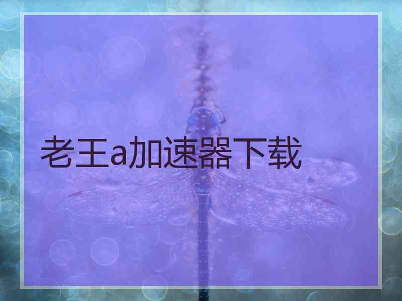 老王a加速器下载