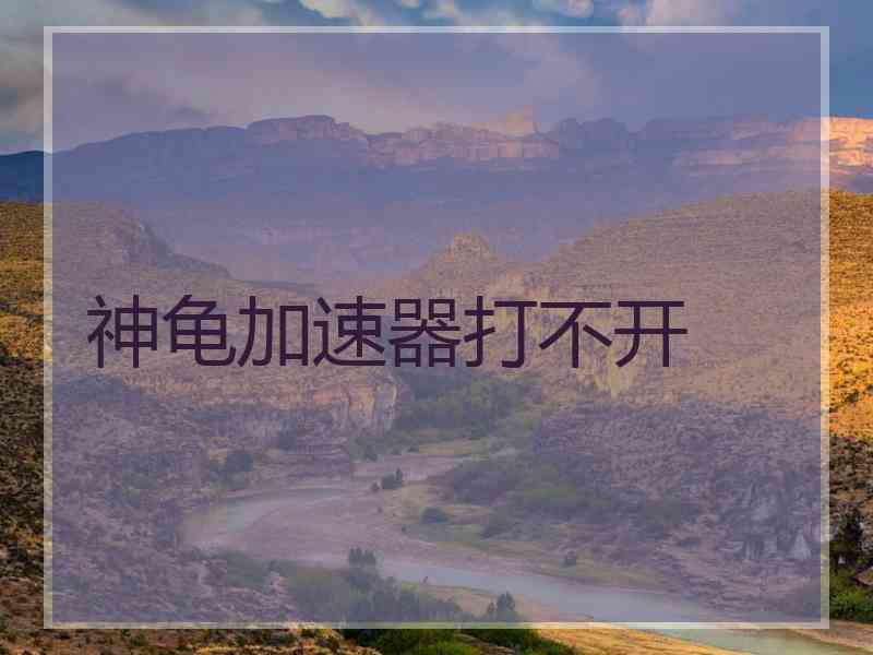 神龟加速器打不开