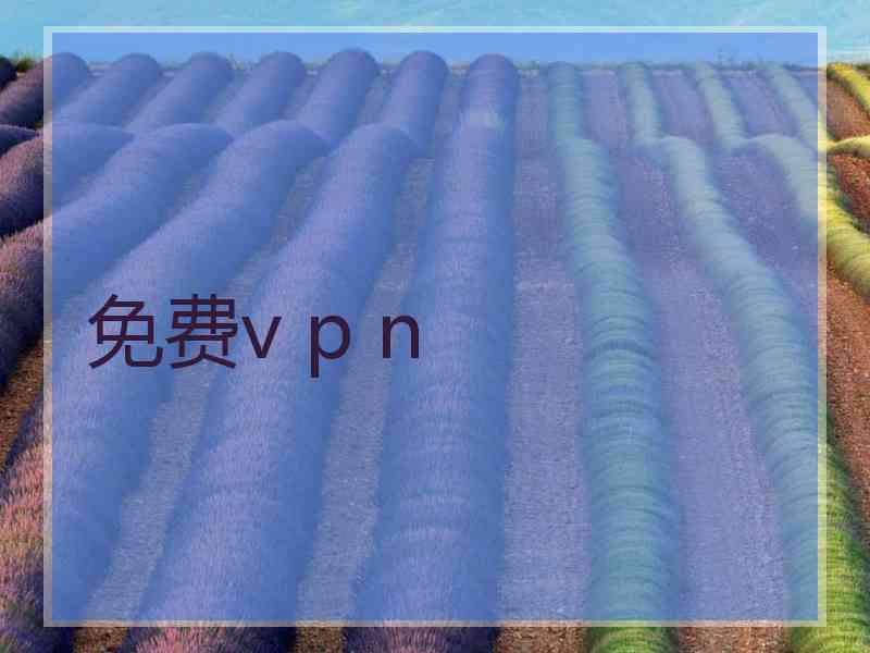 免费v p n