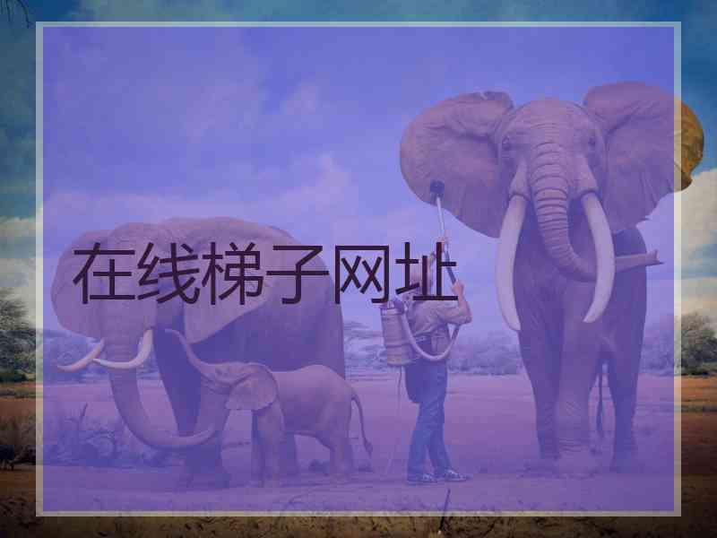 在线梯子网址