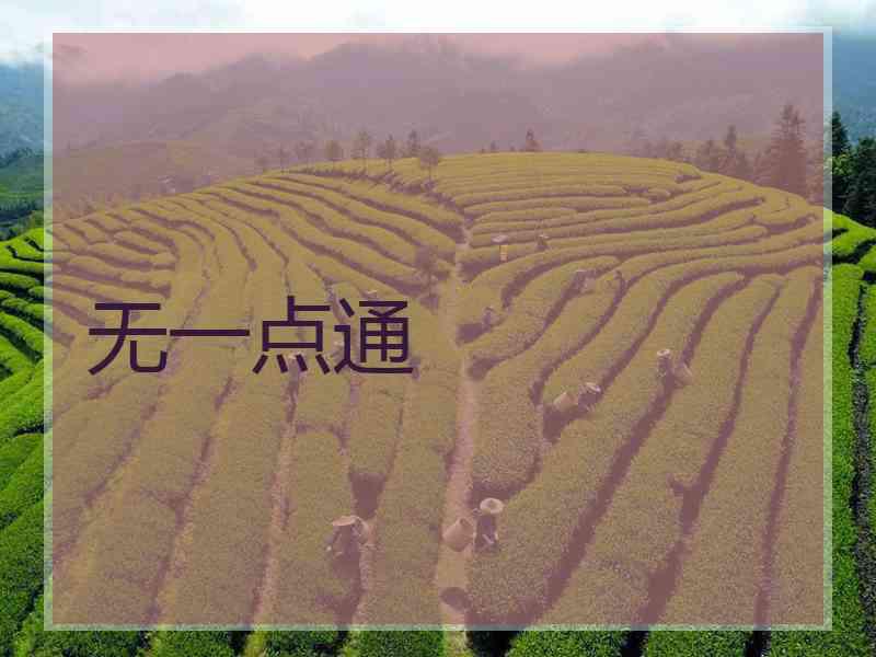 无一点通