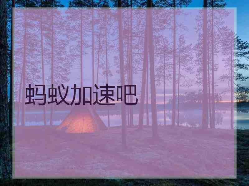 蚂蚁加速吧