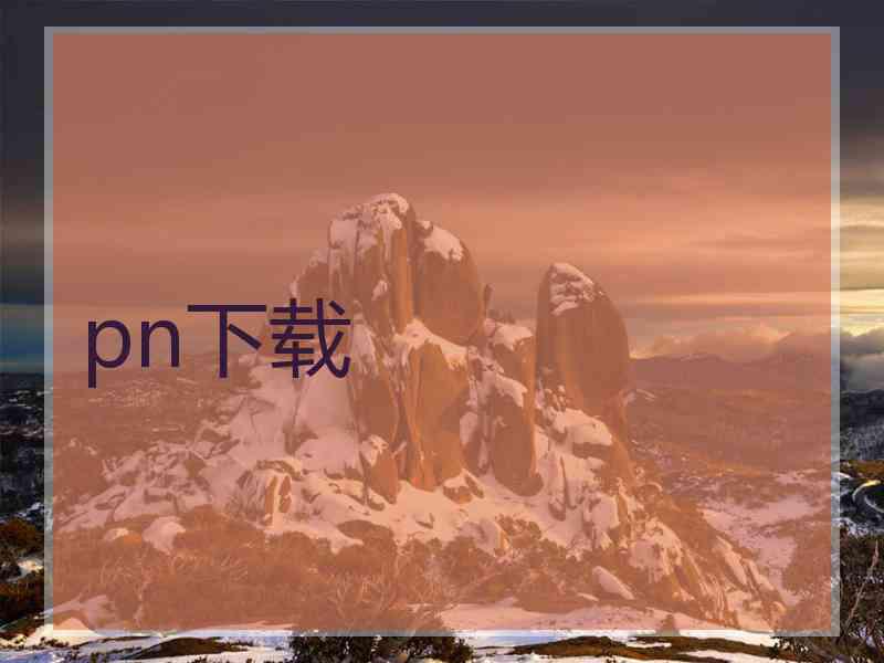 pn下载