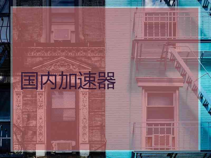 国内加速器