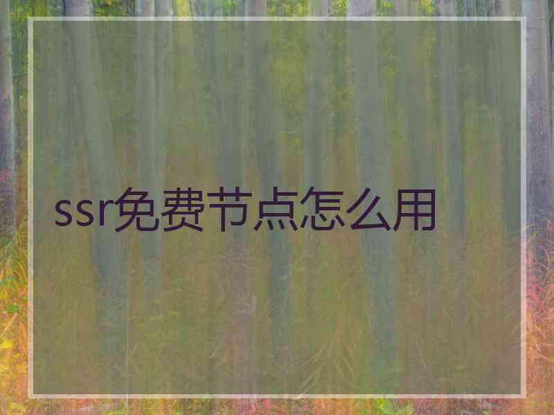 ssr免费节点怎么用