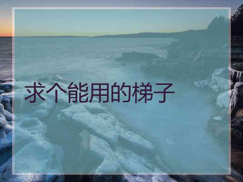 求个能用的梯子
