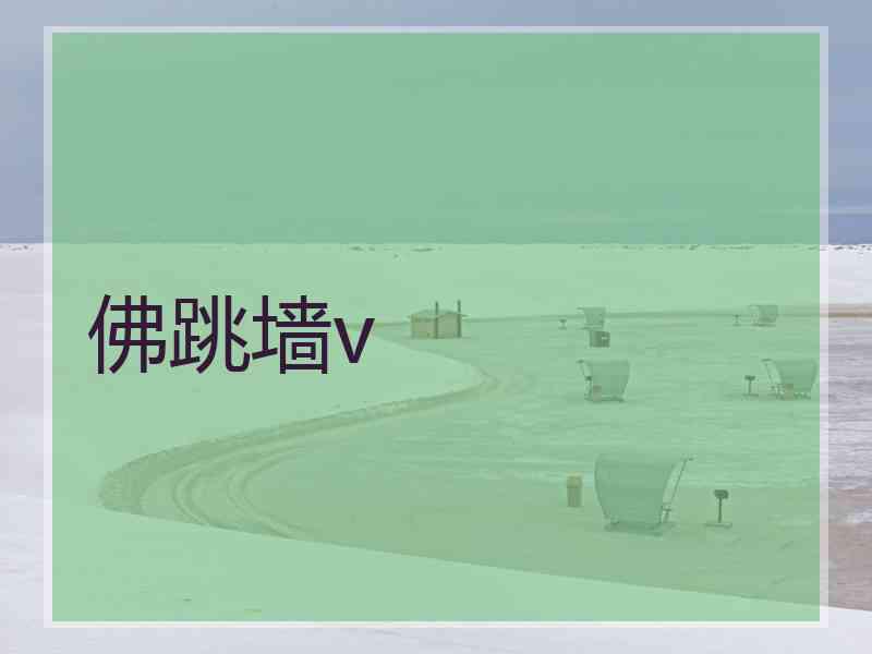 佛跳墙v