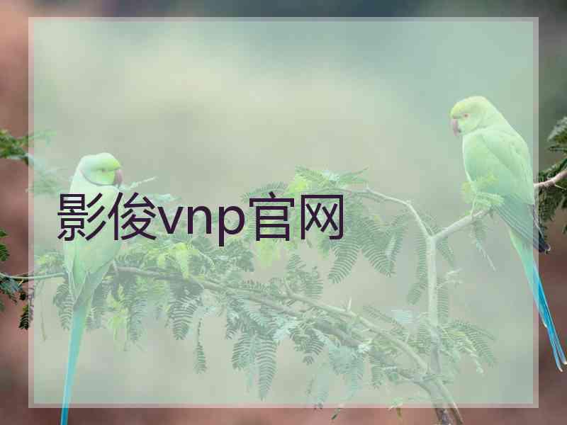 影俊vnp官网