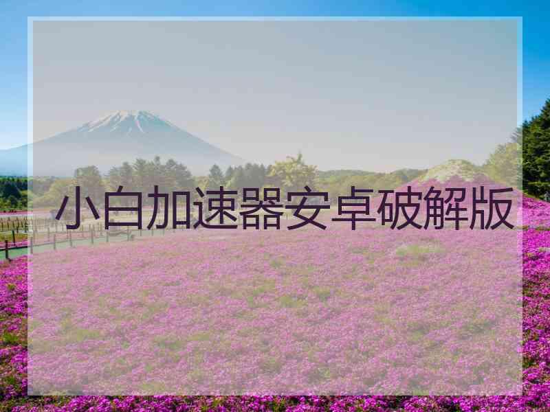 小白加速器安卓破解版