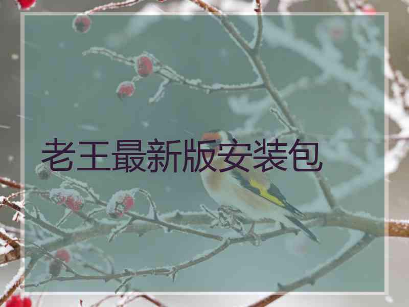老王最新版安装包