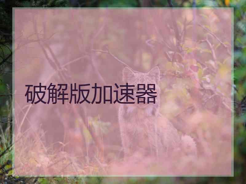 破解版加速器