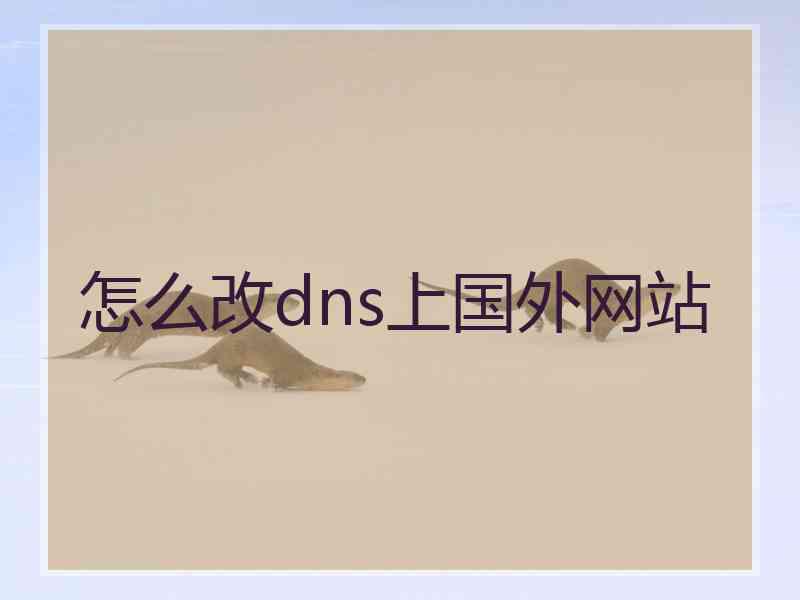 怎么改dns上国外网站