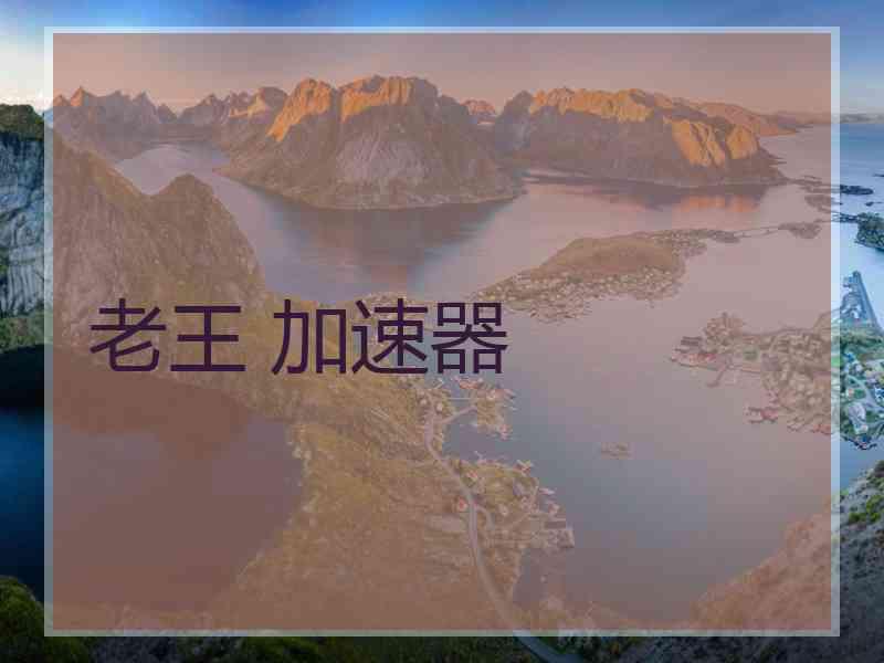 老王 加速器