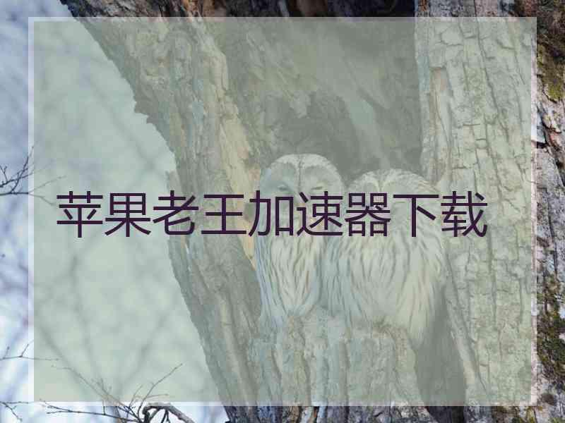 苹果老王加速器下载
