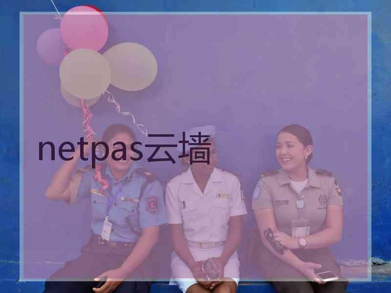 netpas云墙