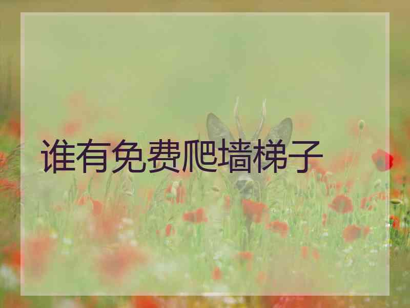 谁有免费爬墙梯子