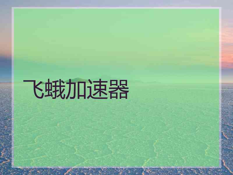 飞蛾加速器