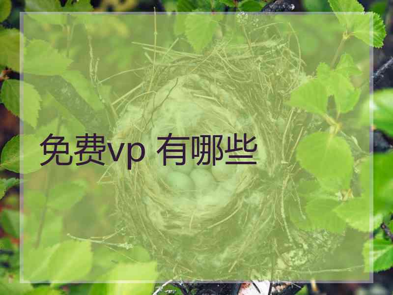 免费vp 有哪些