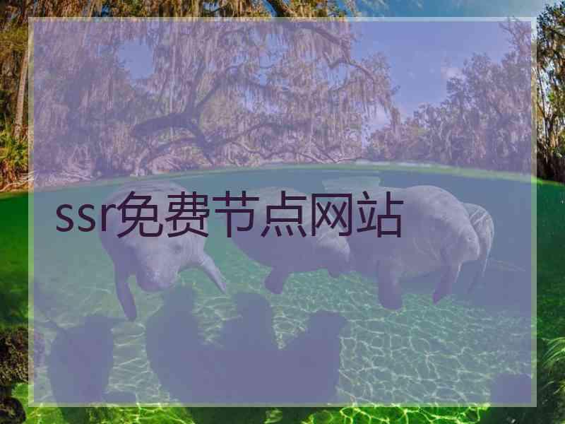 ssr免费节点网站