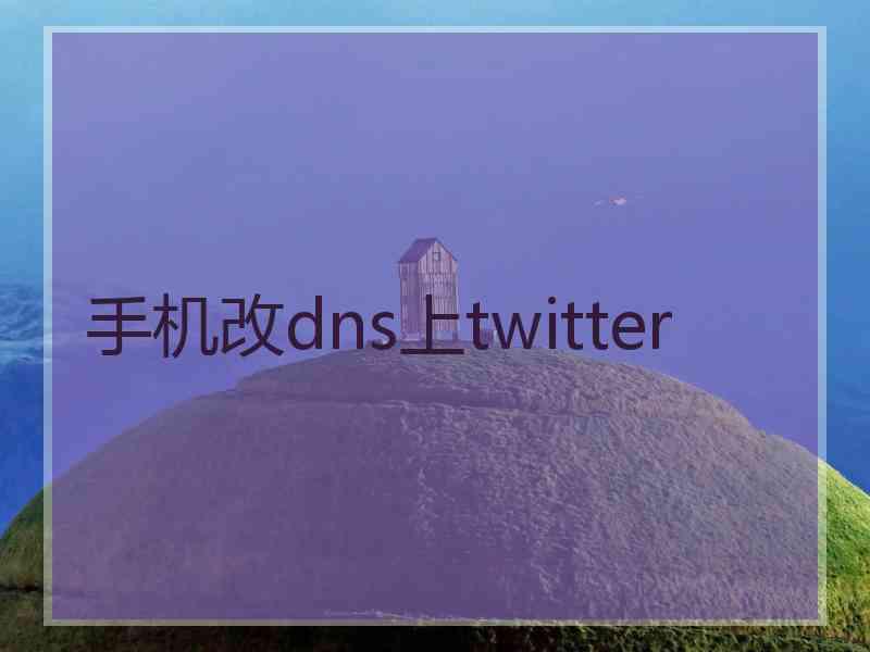 手机改dns上twitter