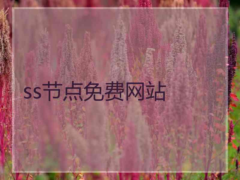 ss节点免费网站