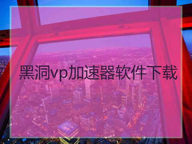 黑洞vp加速器软件下载