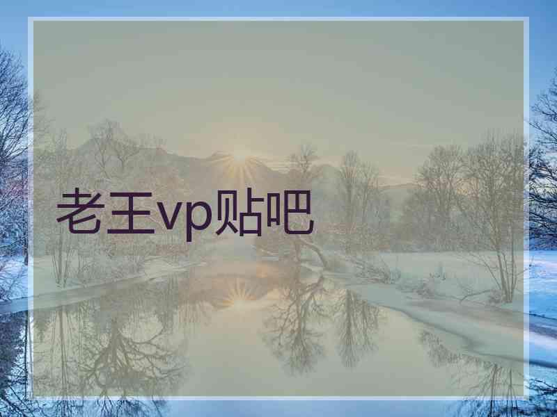 老王vp贴吧