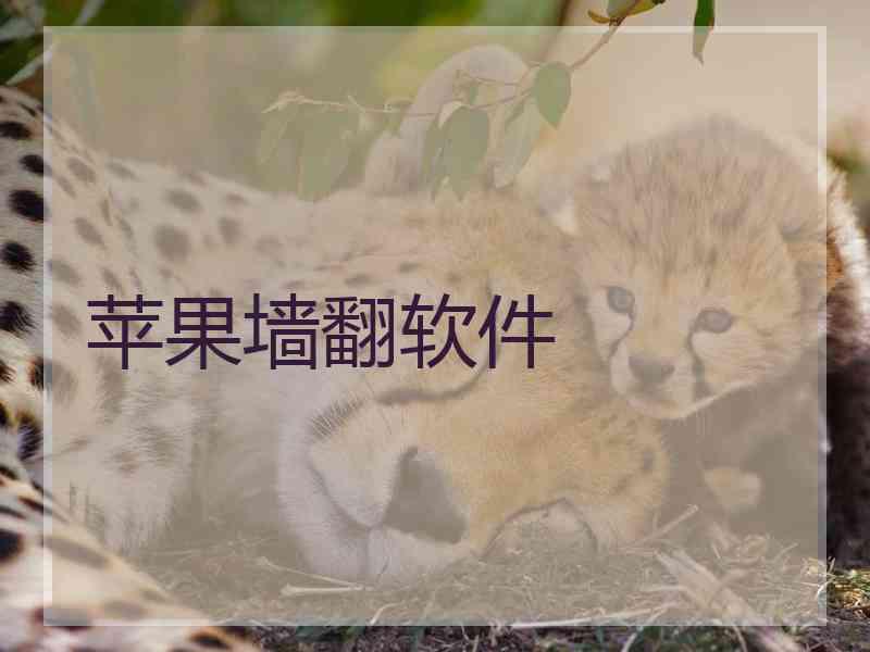 苹果墙翻软件