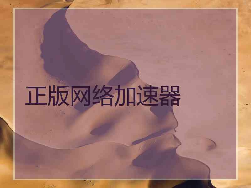 正版网络加速器