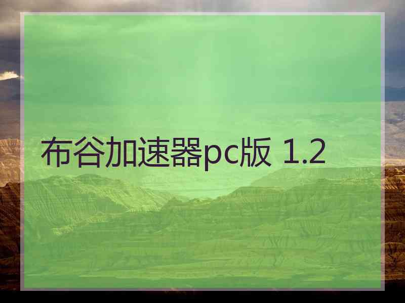 布谷加速器pc版 1.2