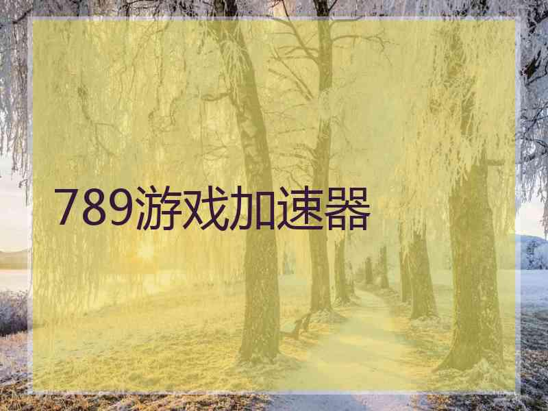 789游戏加速器