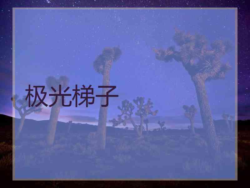极光梯子