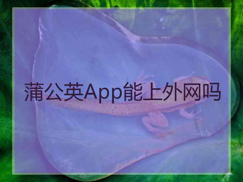 蒲公英App能上外网吗