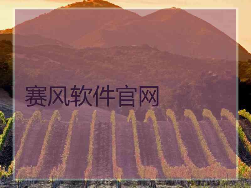 赛风软件官网