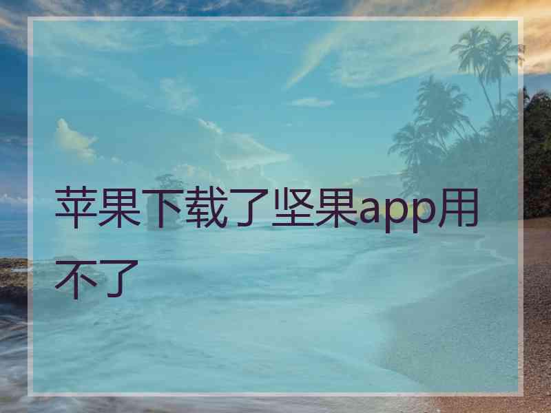 苹果下载了坚果app用不了