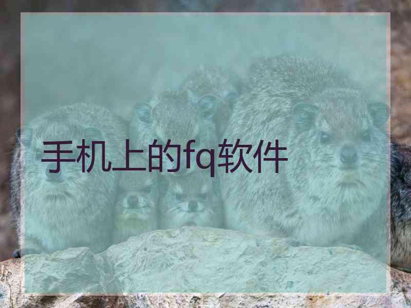 手机上的fq软件