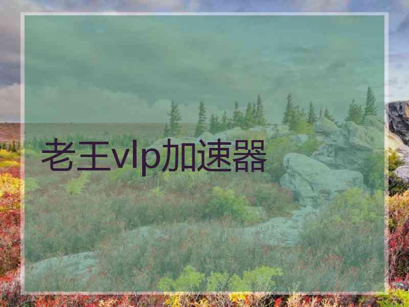 老王vlp加速器
