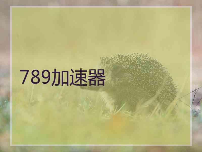 789加速器