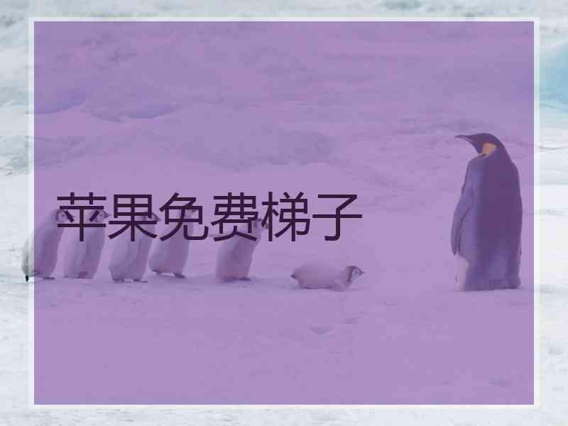 苹果免费梯子
