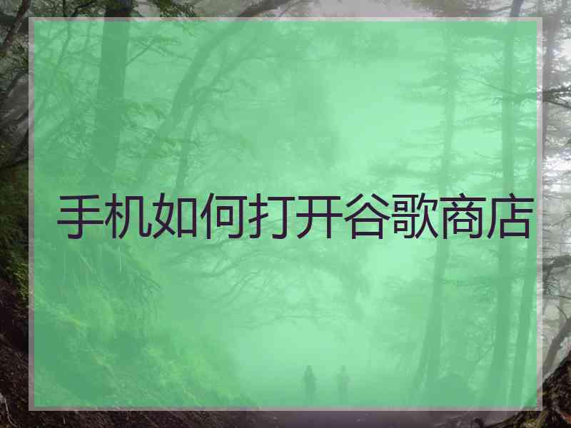 手机如何打开谷歌商店
