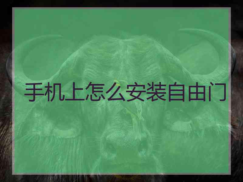 手机上怎么安装自由门
